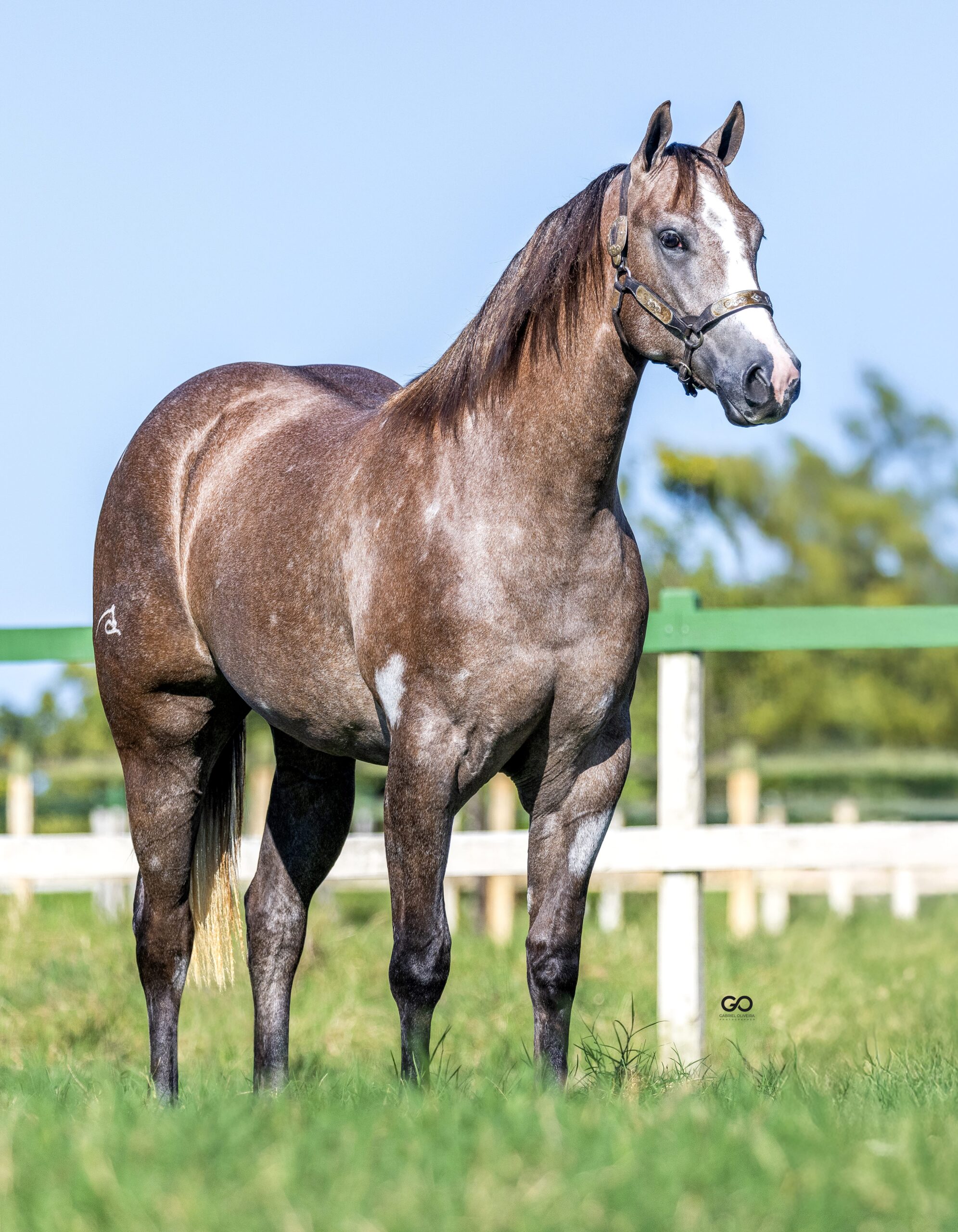 LOTE 05 | MAQUIADA SUS INT