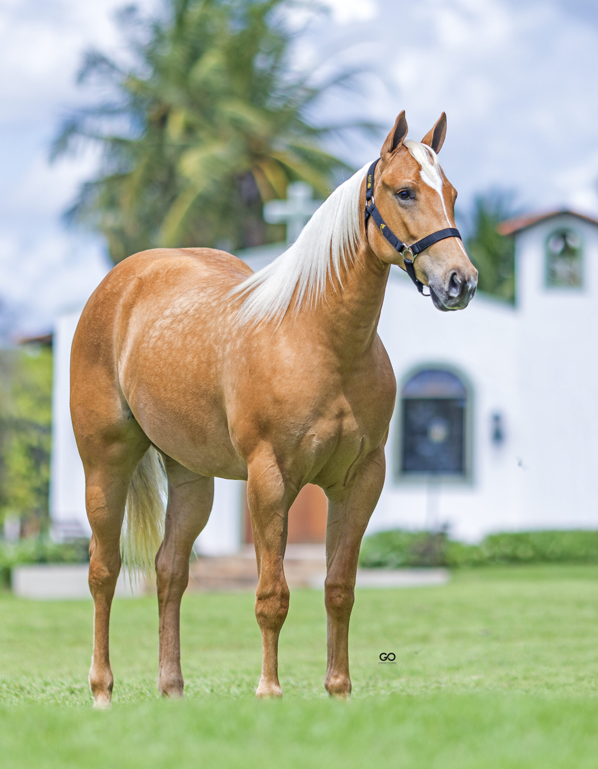 LOTE 10 | CRISTAL GRANITA INT