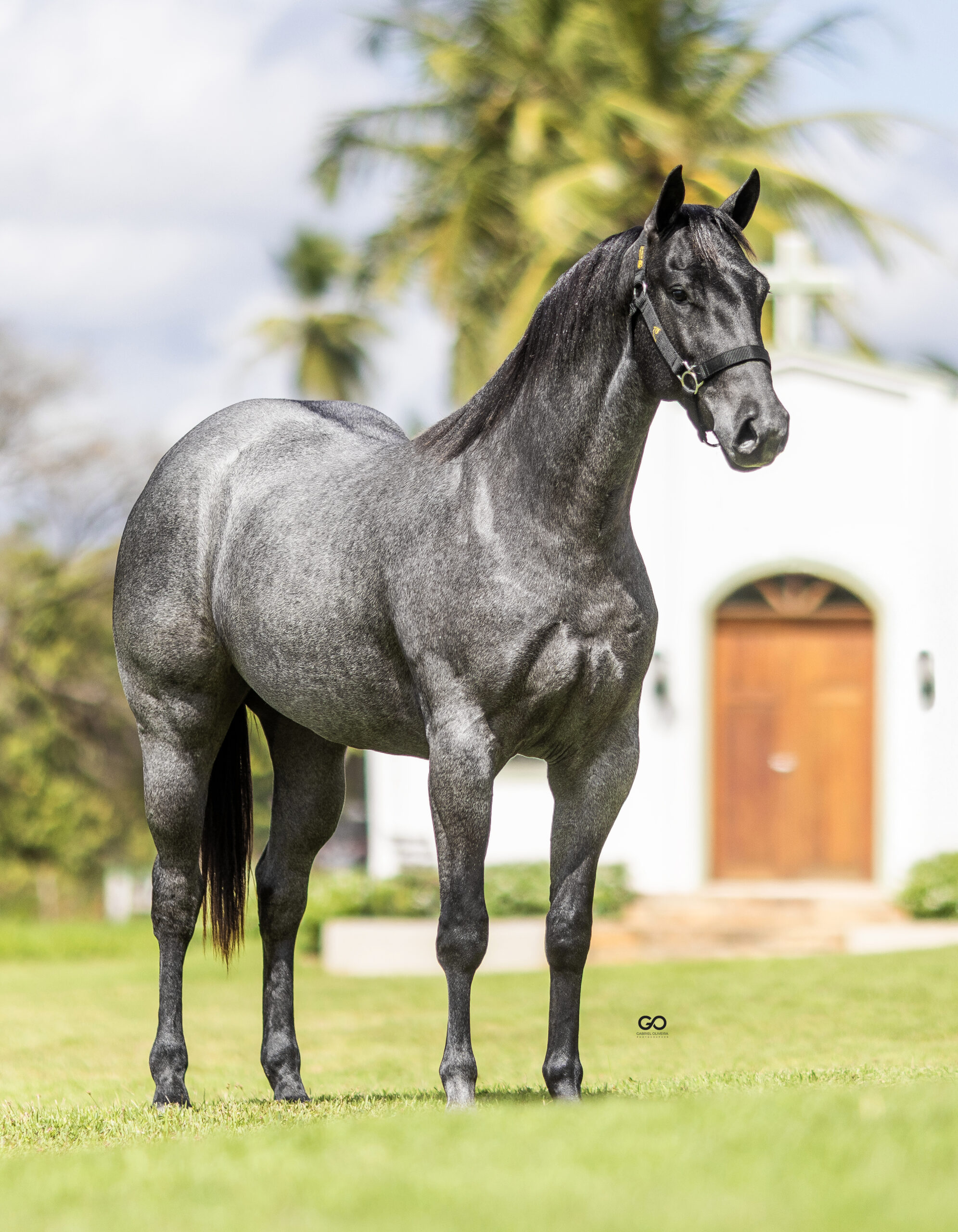 LOTE 06 | QUELINDA GRANITA INT
